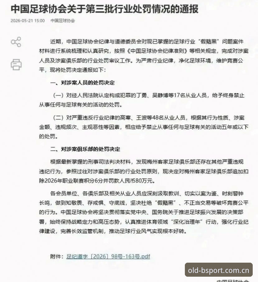 B体育iOS安装 资深用户分享:从足协禁足名单看B体育苹果版上的中超生态净化